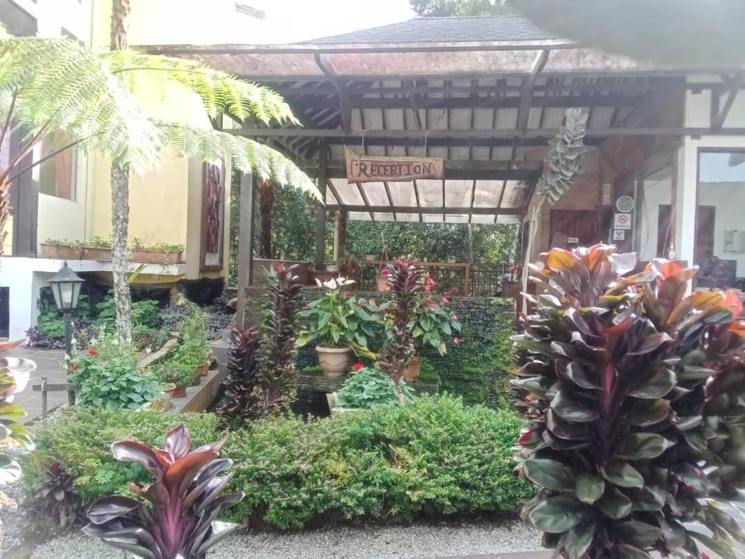 Cahaya Villa Tanah Rata Exterior foto